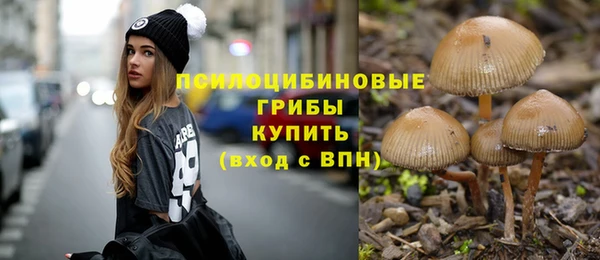 марки nbome Карпинск