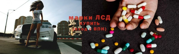 индика Кинешма