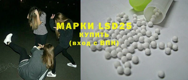 индика Кинешма