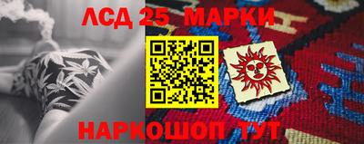 гидра Кингисепп