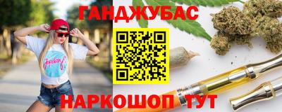 гидра Кингисепп