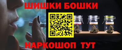 гидра Кингисепп