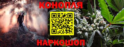 jwh Кимры