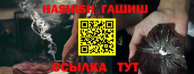 гидра Кингисепп