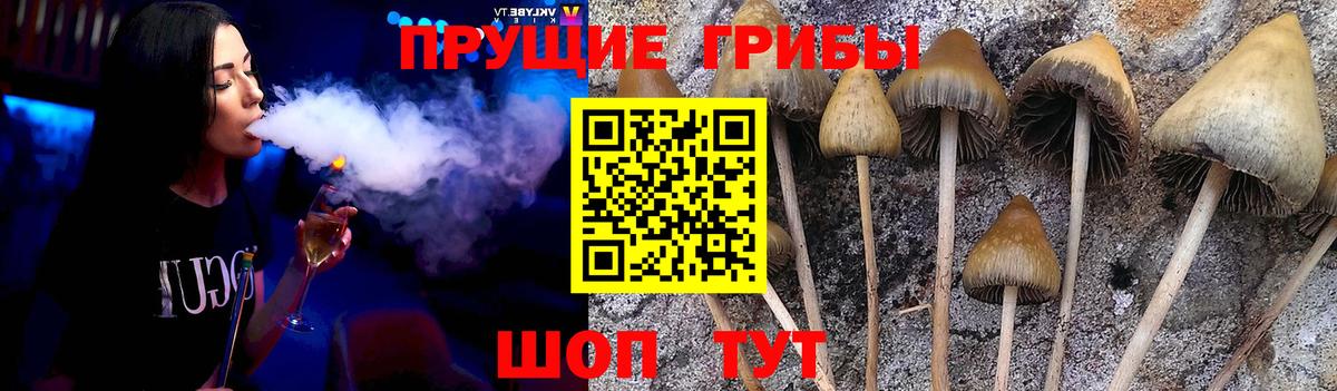 Меф мяу мяу Лесной